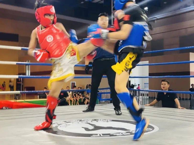 拳击大奖赛上演强强对话，东城犀牛队逆转辽东飞鹰队，团队配合流畅；传控打穿防线的简单介绍